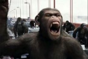 Un simio podría ganar el próximo Oscar al Mejor Actor de Reparto