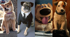 18 perros de cine que han pasado a la historia