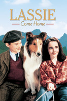 Lassie: La cadena invisible