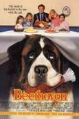 Beethoven: Uno más de la familia